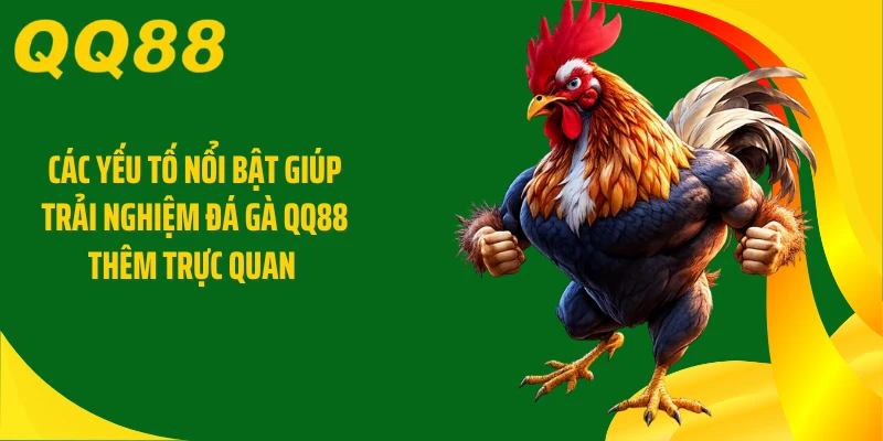 Các yếu tố nổi bật giúp trải nghiệm đá gà QQ88 thêm trực quan 
