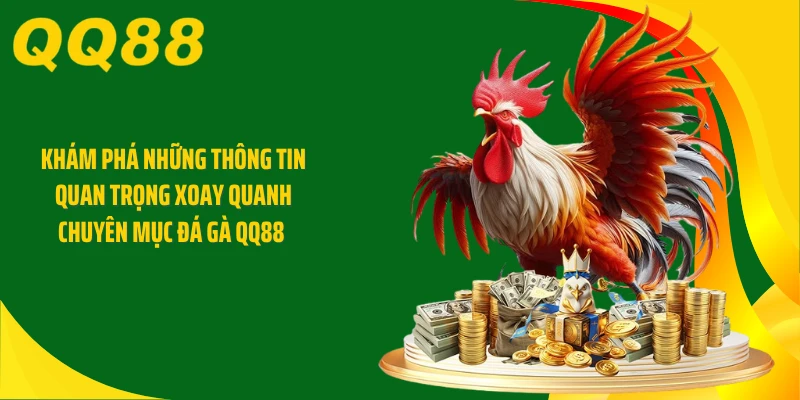 Khám phá những thông tin quan trọng xoay quanh chuyên mục đá gà QQ88 