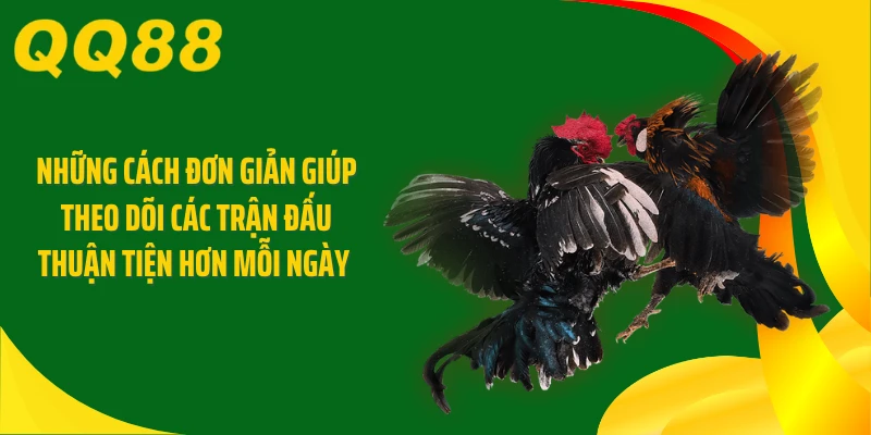 Những cách đơn giản giúp theo dõi các trận đấu thuận tiện hơn mỗi ngày 